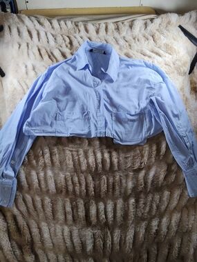Zara Light Blue Cropped Button-Down Shirt